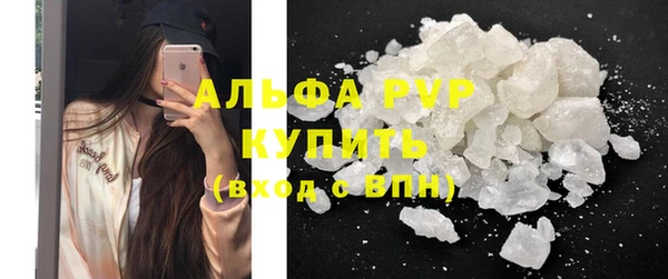 гидра Покачи