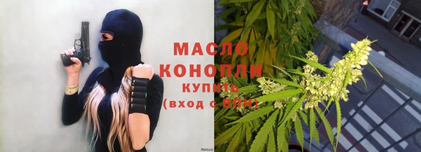 гидра Покачи