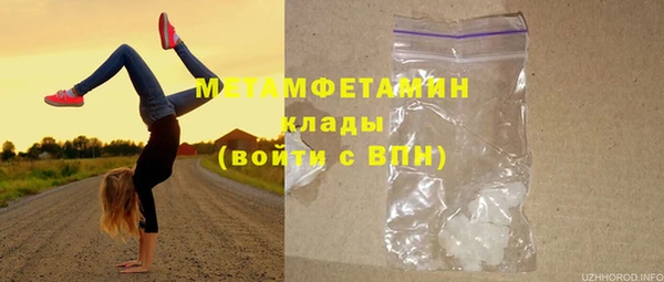 гидра Покачи