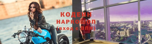 гидра Покачи