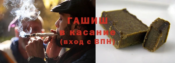 стаф Богданович