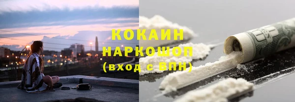 стаф Богданович
