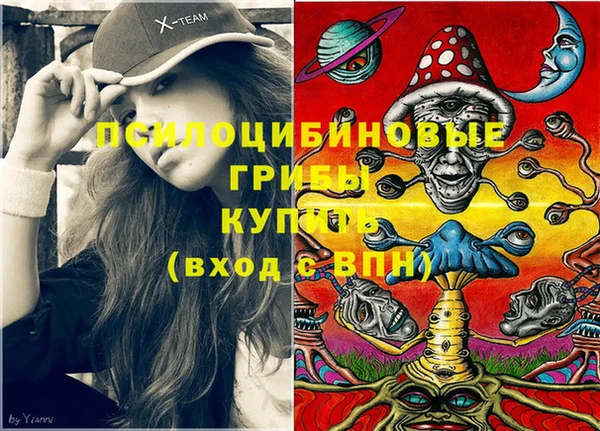 дживик Бронницы