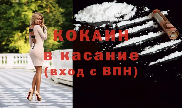 гидра Покачи