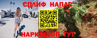 прущие грибы Балаково