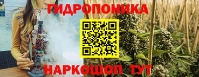 PSILOCYBIN Гусиноозёрск