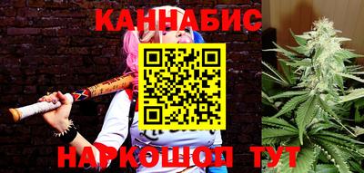 прущие грибы Балаково